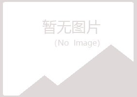 璧山县雅山机械有限公司